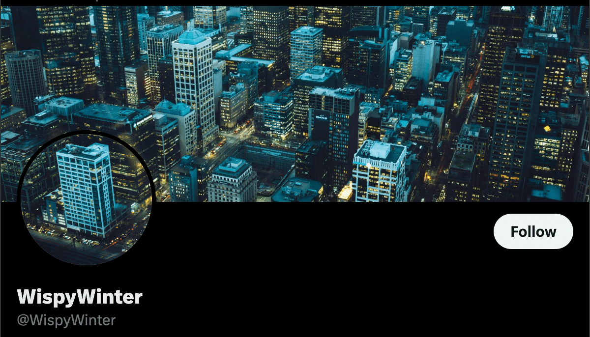 Example of seamless Twitter profile